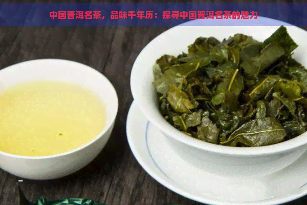 中国普洱名茶，品味千年历：探寻中国普洱名茶的魅力