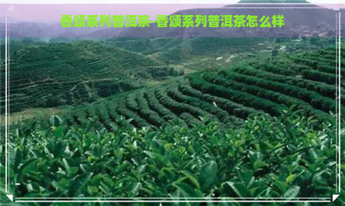 香颂系列普洱茶-香颂系列普洱茶怎么样