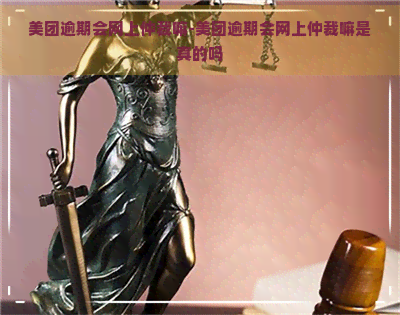 美团逾期会网上仲裁嘛-美团逾期会网上仲裁嘛是真的吗