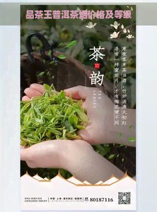 品茶王普洱茶烟价格及等级