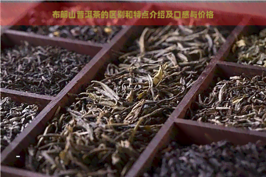 布朗山普洱茶的区别和特点介绍及口感与价格