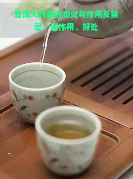 普洱大叶茶的功效与作用及禁忌、副作用、好处