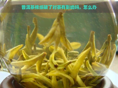 普洱茶棉纸破了对茶有影响吗，怎么办