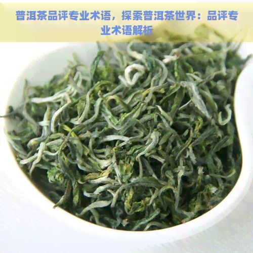 普洱茶品评专业术语，探索普洱茶世界：品评专业术语解析