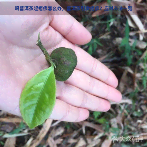 喝普洱茶起疱疹怎么办，普洱茶引发疱疹？应对方法一览