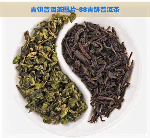 青饼普洱茶图片-88青饼普洱茶