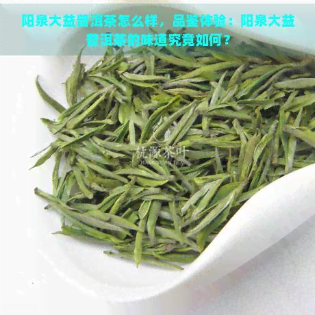 阳泉大益普洱茶怎么样，品鉴体验：阳泉大益普洱茶的味道究竟如何？