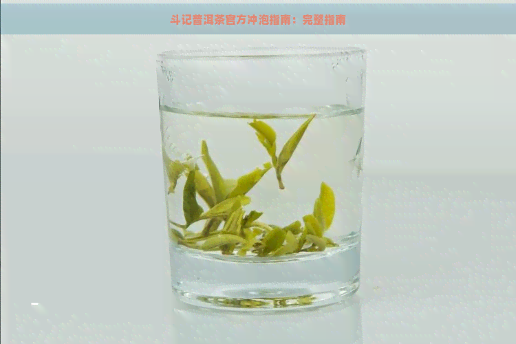 斗记普洱茶官方冲泡指南：完整指南