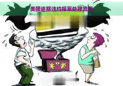 美团逾期违约报案处理流程