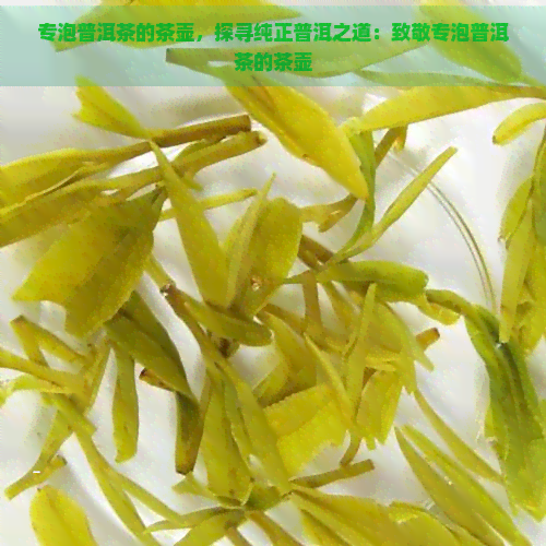 专泡普洱茶的茶壶，探寻纯正普洱之道：致敬专泡普洱茶的茶壶