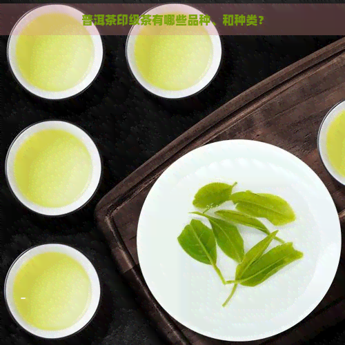 普洱茶印级茶有哪些品种、和种类？