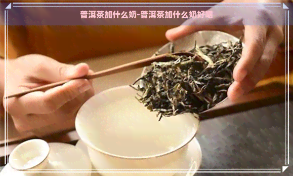 普洱茶加什么奶-普洱茶加什么奶好喝