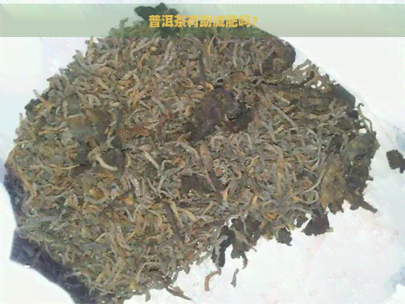 普洱茶有助减肥吗？