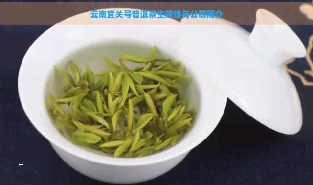 云南宜关号普洱茶生茶饼与公司简介