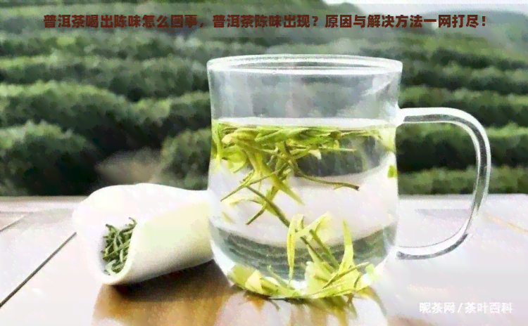 普洱茶喝出陈味怎么回事，普洱茶陈味出现？原因与解决方法一网打尽！