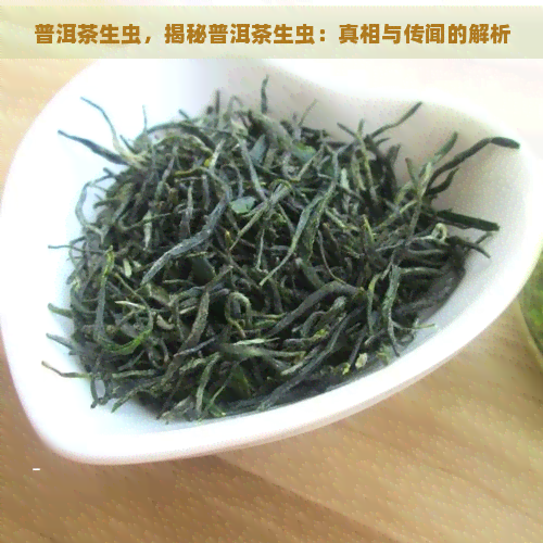 普洱茶生虫，揭秘普洱茶生虫：真相与传闻的解析