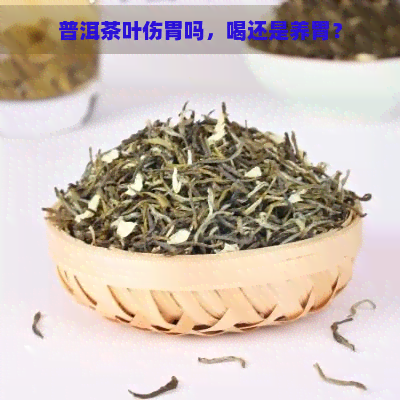 普洱茶叶伤胃吗，喝还是养胃？