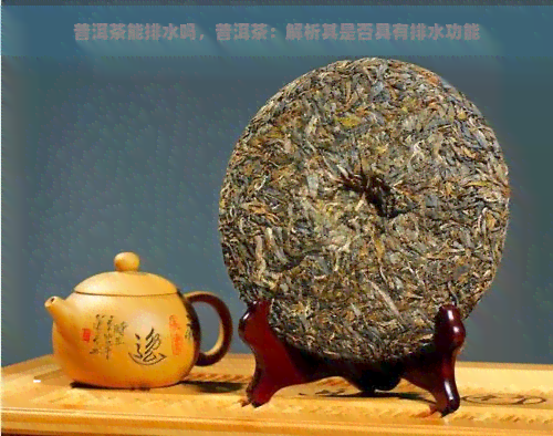 普洱茶能排水吗，普洱茶：解析其是否具有排水功能