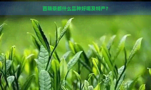 西畴茶都什么品种好喝及特产？