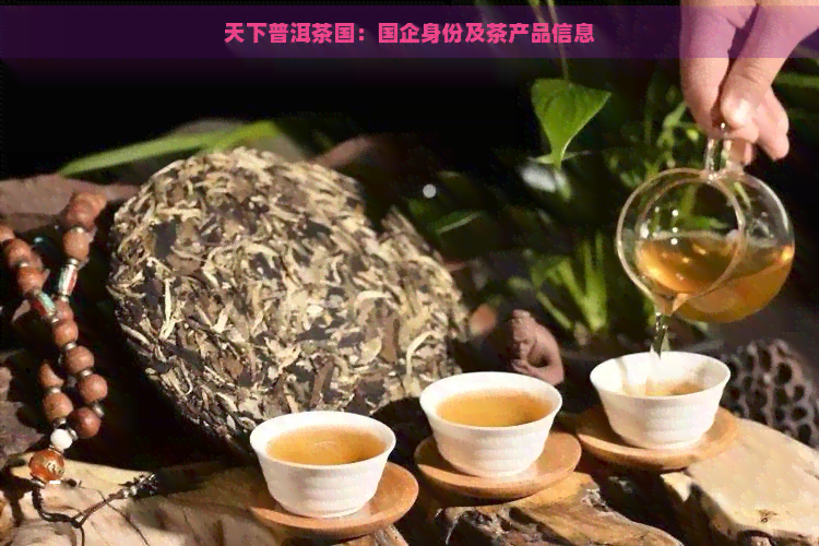 天下普洱茶国：国企身份及茶产品信息