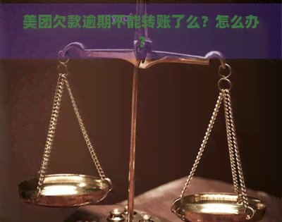 美团欠款逾期不能转账了么？怎么办？