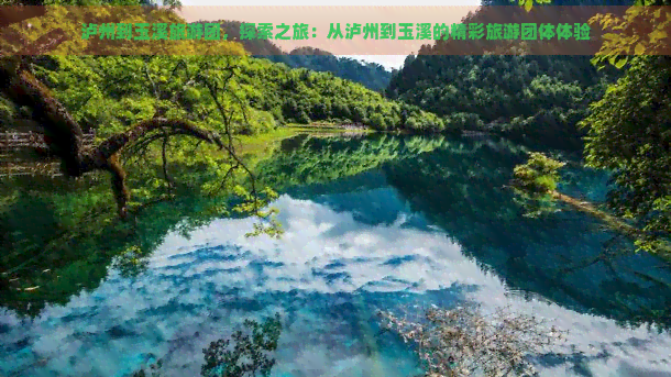 泸州到玉溪旅游团，探索之旅：从泸州到玉溪的精彩旅游团体体验