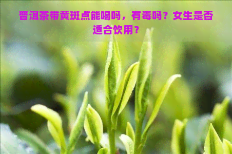 普洱茶带黄斑点能喝吗，有吗？女生是否适合饮用？