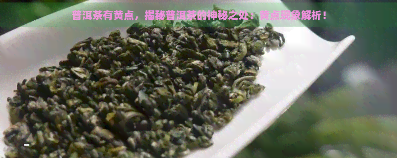 普洱茶有黄点，揭秘普洱茶的神秘之处：黄点现象解析！