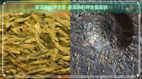 普洱茶的钾含量-普洱茶的钾含量高吗