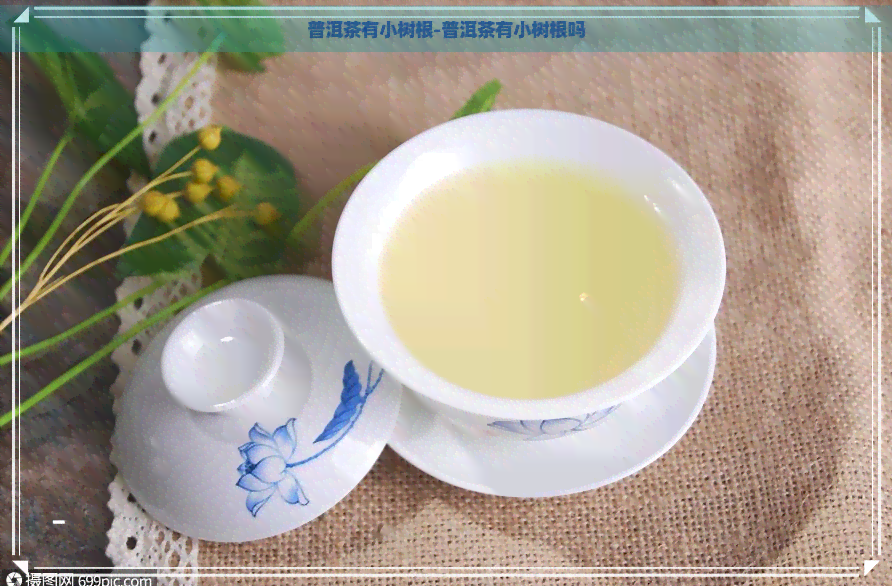 普洱茶有小树根-普洱茶有小树根吗