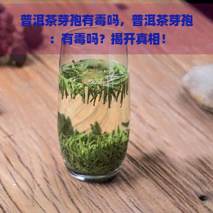 普洱茶芽孢有吗，普洱茶芽孢：有吗？揭开真相！