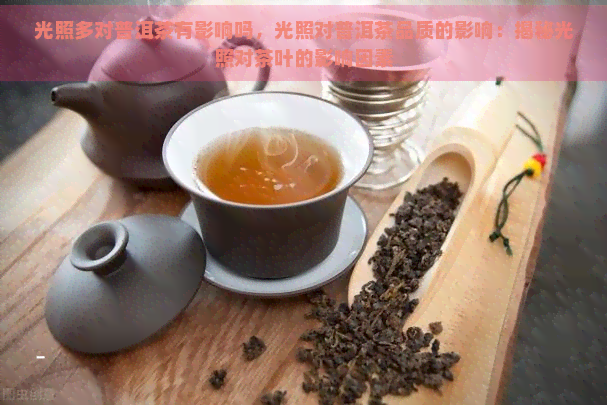 光照多对普洱茶有影响吗，光照对普洱茶品质的影响：揭秘光照对茶叶的影响因素