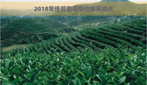 2018年倚邦普洱茶价格及特点