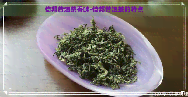 倚邦普洱茶香味-倚邦普洱茶的特点