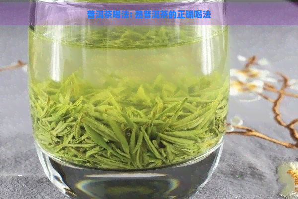 普洱茶喝法: 熟普洱茶的正确喝法