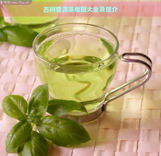 古树普洱茶版图大全及简介