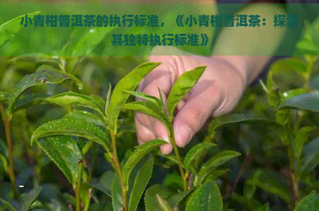 小青柑普洱茶的执行标准，《小青柑普洱茶：探索其独特执行标准》