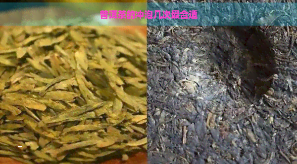 普洱茶的冲泡几次最合适