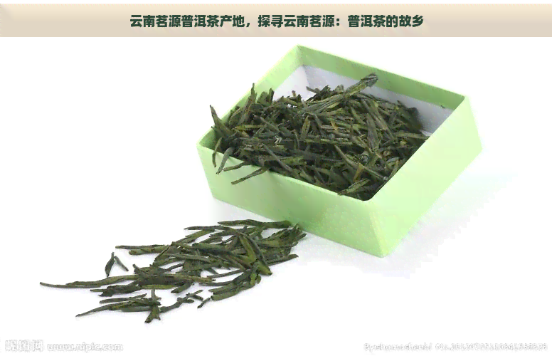 云南茗源普洱茶产地，探寻云南茗源：普洱茶的故乡