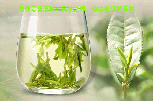 茗缘号普洱茶：品茶之缘，体味普洱的香韵