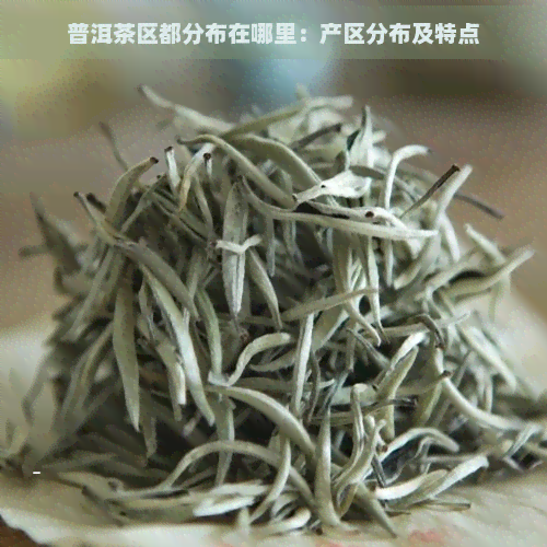 普洱茶区都分布在哪里：产区分布及特点