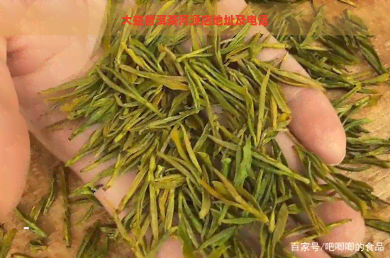 大益普洱茶河源店地址及电话