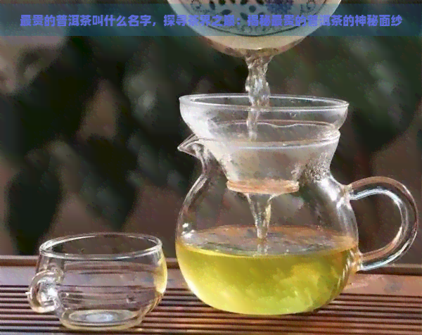 最贵的普洱茶叫什么名字，探寻茶界之巅：揭秘最贵的普洱茶的神秘面纱