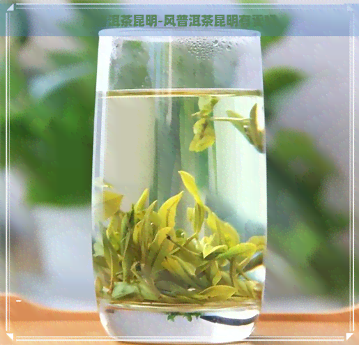 风普洱茶昆明-风普洱茶昆明有卖吗