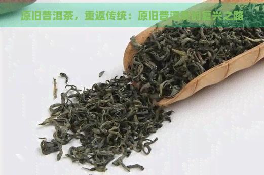 原旧普洱茶，重返传统：原旧普洱茶的复兴之路