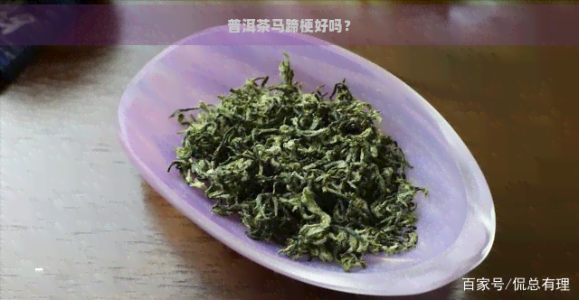 普洱茶马蹄梗好吗？