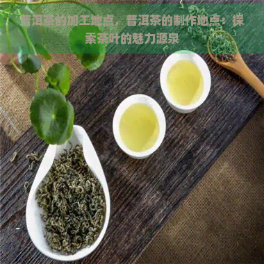 普洱茶的加工地点，普洱茶的制作地点：探索茶叶的魅力源泉