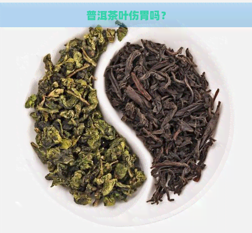 普洱茶叶伤胃吗？