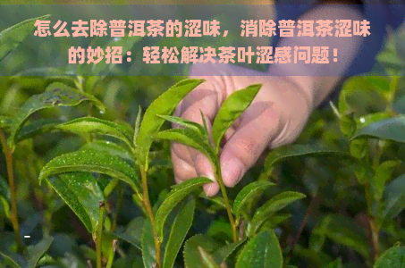 怎么去除普洱茶的涩味，消除普洱茶涩味的妙招：轻松解决茶叶涩感问题！