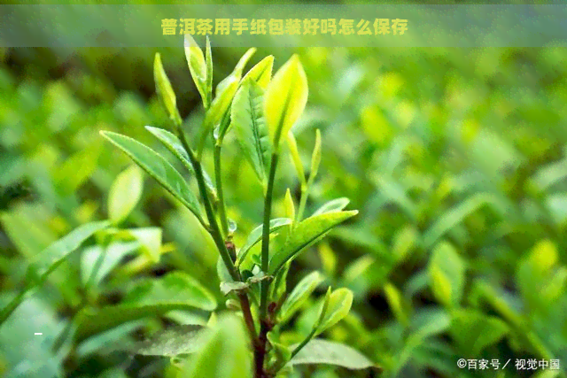 普洱茶用手纸包装好吗怎么保存